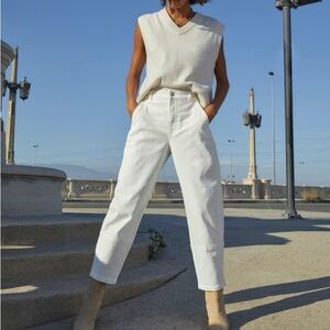 Everlane Utility Barrel Pant